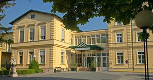 Клиника «Рудольфинерхаус», Вена, Австрия